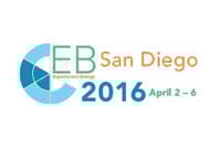 EB-image